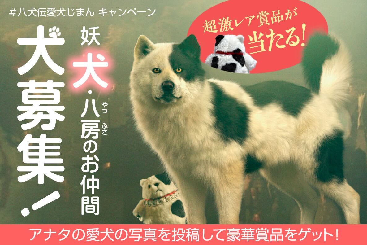 八房のお仲間募集！公式X「八犬伝愛犬じまんキャンペーン」開始